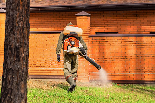 Trusted Cockroach Control service in New Waverly, TX - Nex Pest Control